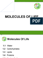 5.nucleic Acid