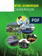 Le Potentiel Economique Du Cameroun Version Francaise