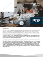 Developer PDF