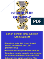 Struktur Genom-2