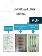 Metode Mempelajari Dunia Mikrobia 2