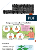 3.4 Pengangkutan Dalm Tumbuhan