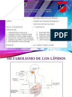 Diapositivas Metabolismo de Los Lipidos Ok
