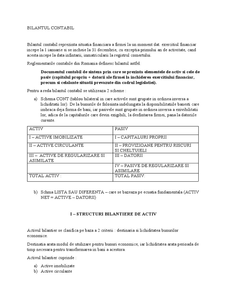 Bilantul Contabil | PDF