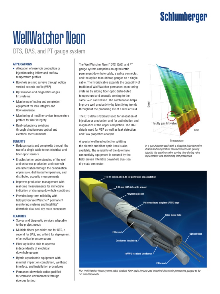 Wellwatcher Neon: DTS, Das, and PT Gauge System | PDF | Optical Fiber ...