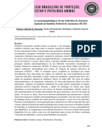 Achados anatomopatológicos em gambá-comum necropsiado