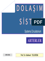 Dolasim Sistemi