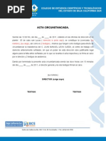 Formato de Acta Circunstanciada  Gobierno  Política