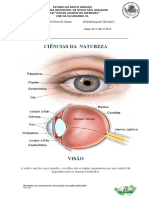 Ciências Da Natureza