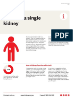 Fact Sheet Life With A Single Kidney 2020