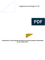 Tema 1 Introducción A Estructural Estud