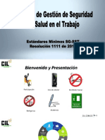 TR_Resolución-1111-de-2017-Estandares-Minimos-del-SG-SST M-5