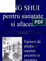 Feng Shui Pentru Sanatate Si Afaceri