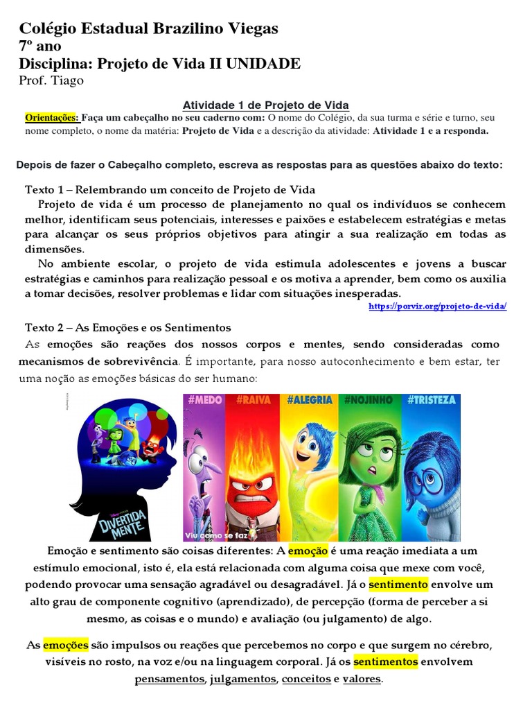 Desenvolvendo habilidades socioemocionais no 7o ano | PDF | Emoções ...
