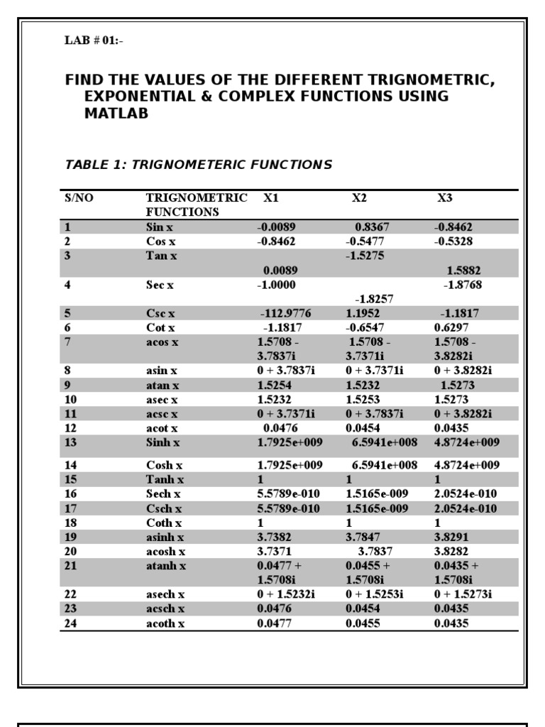 Amin Lab 1 | PDF