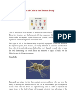 Types of Cells