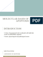 Molecular Basis of Apoptosis