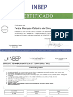 NR 12  - Felipe Marques Celerino da Silva