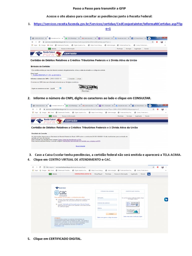 Passo A Passo Gfip | PDF | Programas | Senha