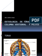 Osteologia de Tórax, Columna Vertebral y Pelvis