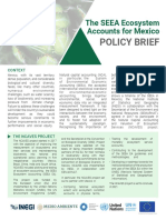 Ncaves - Mexico - Policy Brief - Final