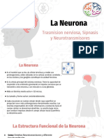 Diapositivas de La Neurona