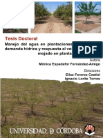 Manejo Del Agua en Plantaciones de Almendro, Demanda Hídrica y Respuesta en Plantaciones Jóvenes