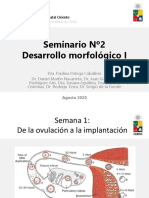 Seminario 2 Evaluacion Ecografica Del Desarrollo Morfologico I Archivo