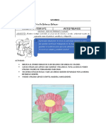 5°a Visuales Guia N°2