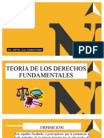 Teoría Derechos Fundamentales Definición Características