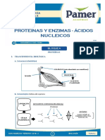 Proteínas Y Enzimas - Ácidos Nucleicos: Biología Tema 2