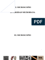 4. El microscopio - Diversidad Microbiana (1)