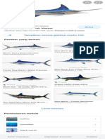 Marlin Fish - Penelusuran Google