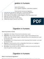 Digestion in Humans (Csec Notes)