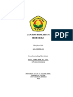 Laporan Praktikum Hidrolika A 1 Ahmad Roy Hanafi 181910301064