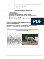 Give The Scientific Name of The Dog Family. 2. Name Five Distinctive Characteristics of The Dog Family