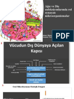 Ağız Ve Diş Enfeksiyonlarında Rol Oynayan Mikroorganizmalar /microorganisms Involved in Oral and Dental Infections