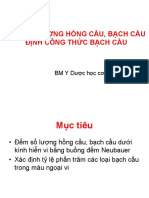 Định Công Thức Hồng Cầu, Bạch Cầu