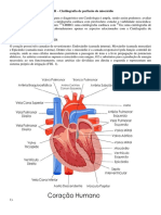 Sistema Cardiovascular - Ma