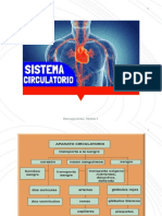 Presentación Sistema Circulatorio0