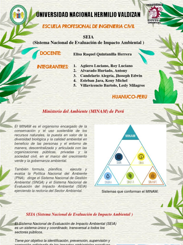 Gobernanza Ambiental y SEIA en Perú | PDF | Evaluación de impacto ...
