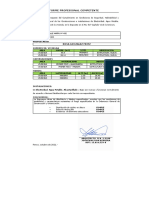 7) Informe Profesional Competente