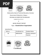 MGMT Project Report