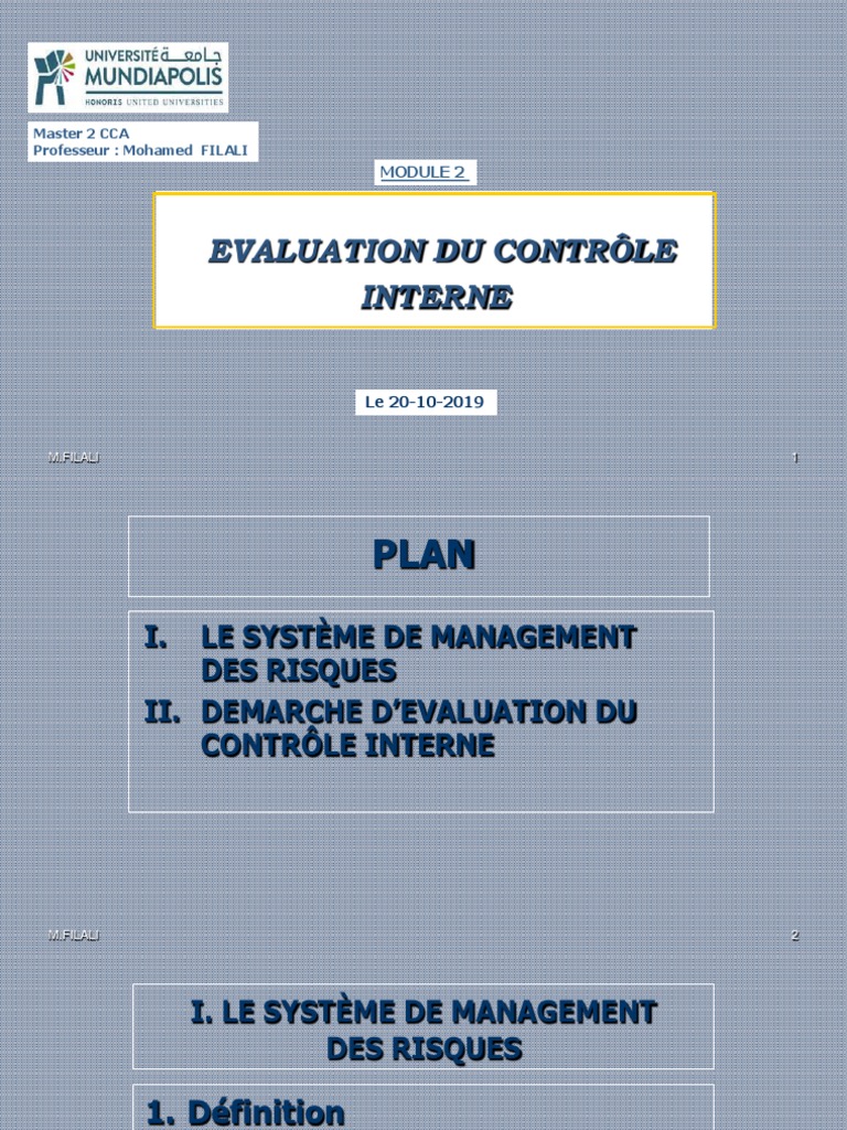 Évaluation du Contrôle Interne et Risques | PDF | Gestion des risques ...