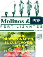 Fertilización Del Cultivo de Fresa