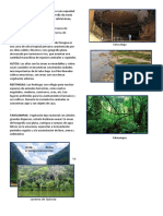 Cavernas y formaciones subterráneas de la selva baja peruana