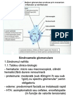 33 Glomerulopatii Generalităţi - Glomerulonefritele