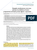 Protein Ligand 1 Expression