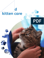 Cat Care Brochure National Web