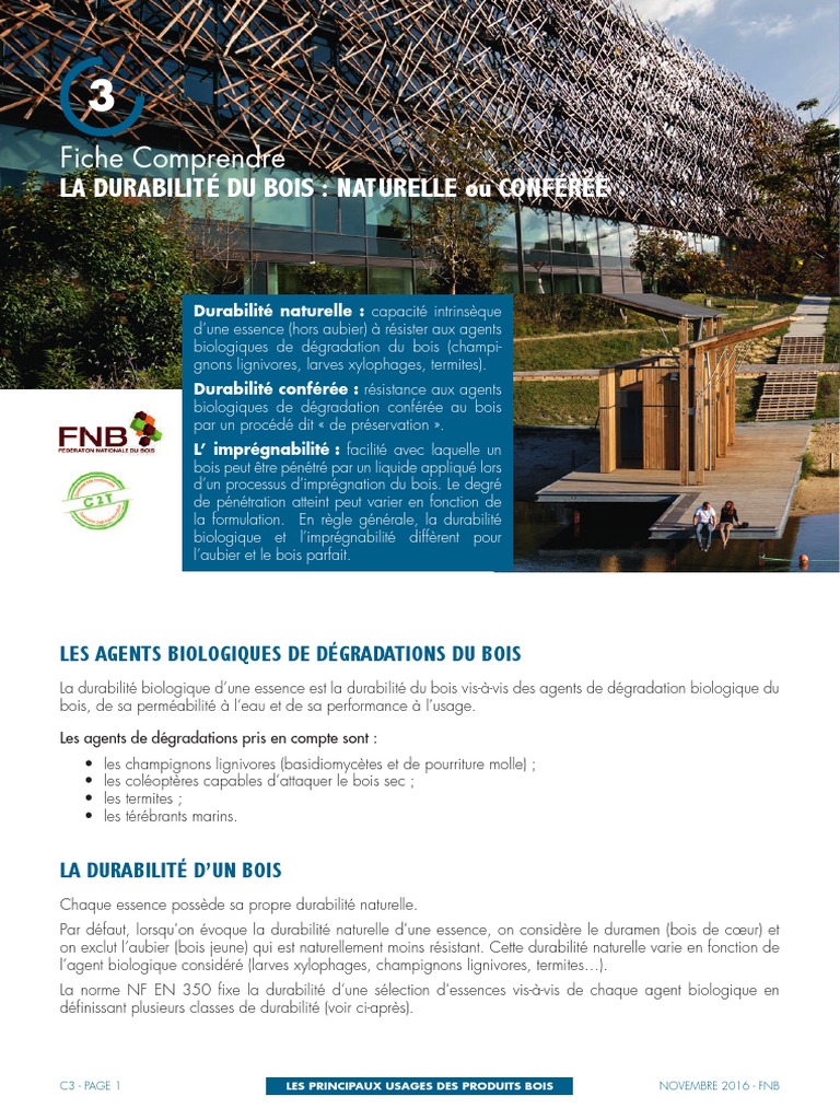 Durabilité du bois et agents de dégradation | PDF | Bois | Bois ...